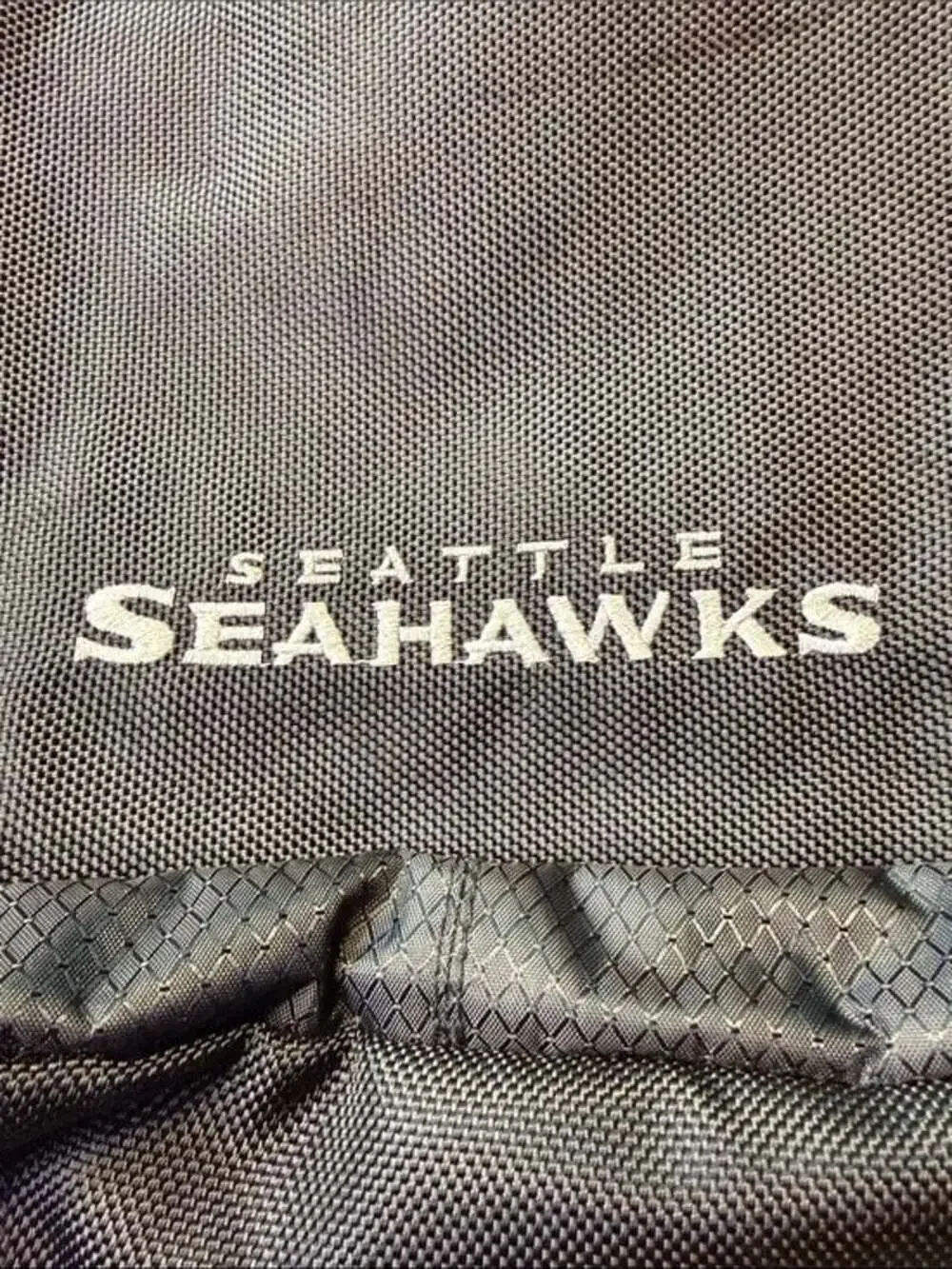 Seattle‎ Seahawks Northwest Phenom Backpack and Laptop Bag